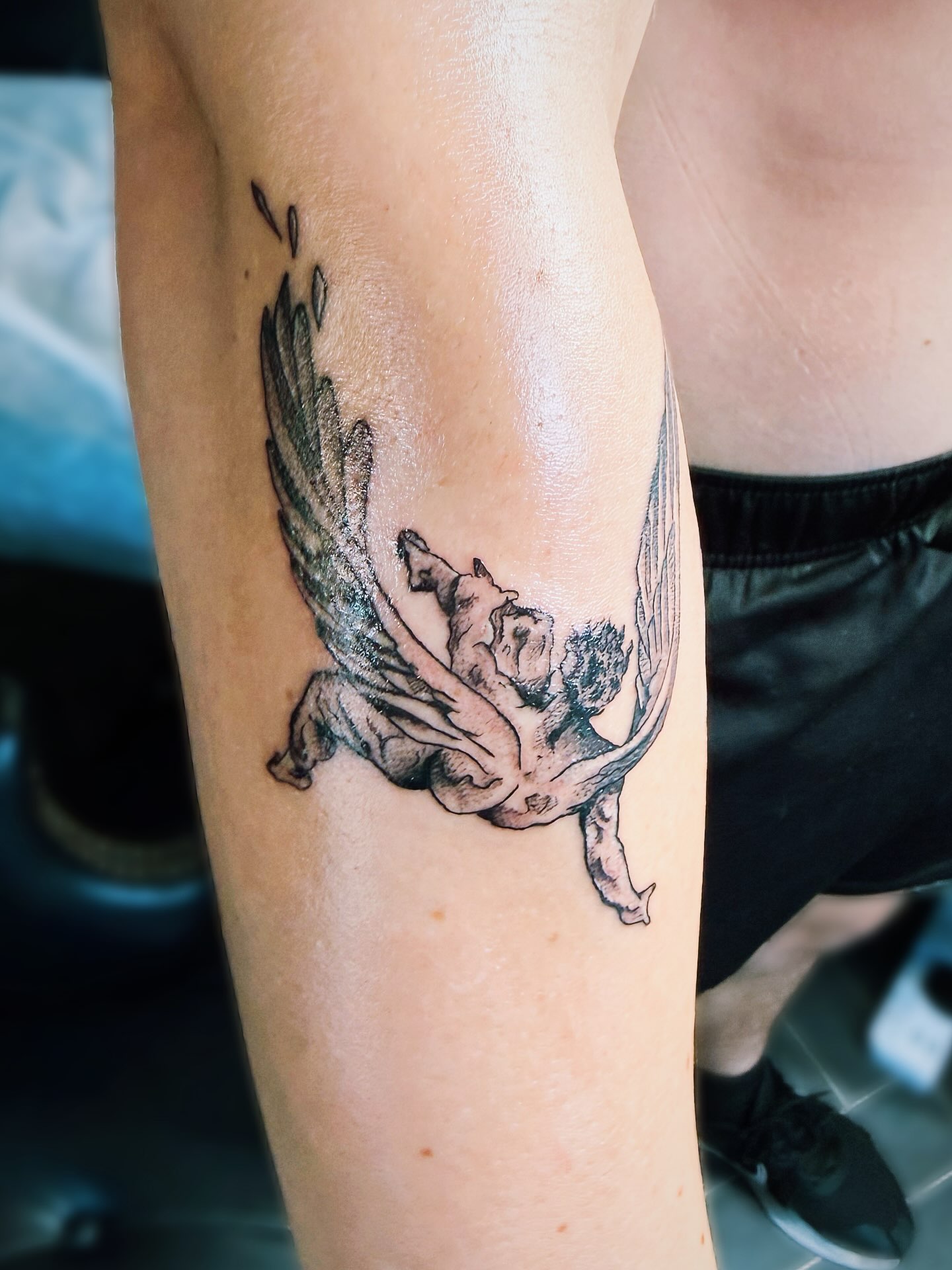 A winged cherub tattoo in soft black and grey on a forearm